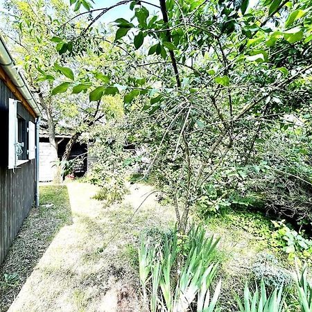 Harmonie - Agreable Maison Situee Dans Un Ecrin De Verdure La Tremblade Extérieur photo