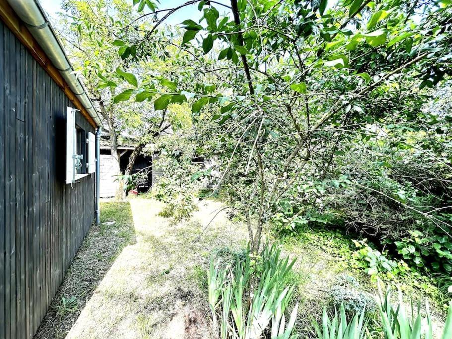 Harmonie - Agreable Maison Situee Dans Un Ecrin De Verdure La Tremblade Extérieur photo